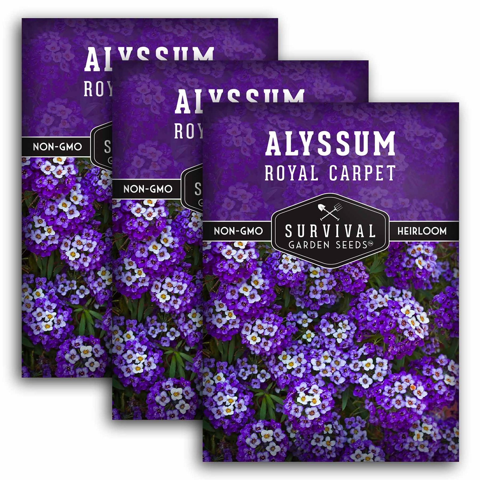 Alyssum-Royal-Carpet-01.3.jpg