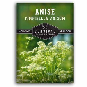 Anise Seeds (Pimpinella anisum) – Heirloom Culinary & Medicinal Herb with Sweet Licorice Flavor