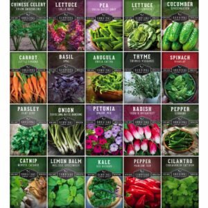 20 Variety Apartment Kit Seed Vault – Non-GMO Heirloom Seeds for Hydroponic & Indoor Small-Space Gardening