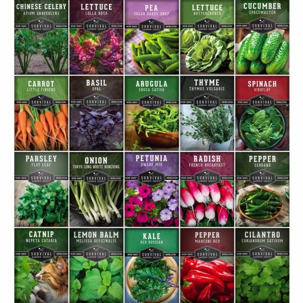 20 Variety Apartment Kit Seed Vault – Non-GMO Heirloom Seeds for Hydroponic & Indoor Small-Space Gardening