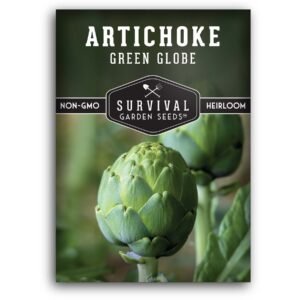 Green Globe Artichoke Seeds – Perennial Heirloom Artichoke with Large Edible Buds for Home Gardens