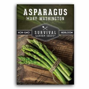 Mary Washington Asparagus Seeds – Heirloom Perennial Garden Variety