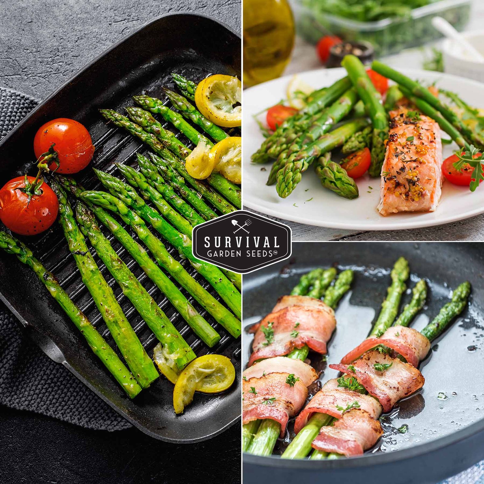 Asparagus_MW-05.jpg