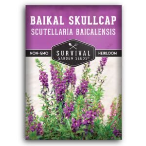 Chinese Skullcap Seeds – Scutellaria baicalensis (Huang Qin) | Heirloom Medicinal Herb for Teas, Tinctures & Herbal Gardens