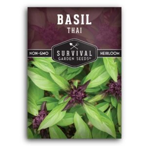 Thai Basil Seeds – Award-Winning Asian Basil for Pho, Curries & Stir-Fries (AAS Winner)