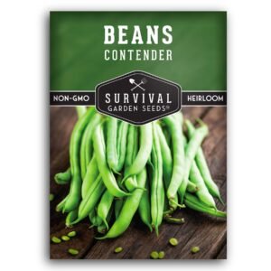 Contender Bush Bean Seeds – Early, High-Yield Green Beans for Cool or Warm Climates