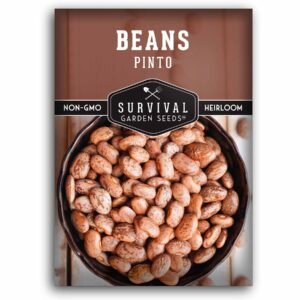 Pinto Bean Seeds – Heat- & Drought-Tolerant Bush Beans for Drying, Cooking & High-Yield Harvests