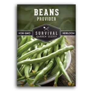 Provider Bush Bean Seeds – Early, Reliable Green Beans for Cool or Warm Climates