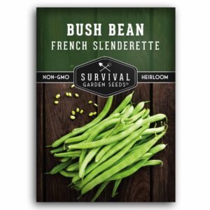 French Slenderette Bush Bean Seeds – Compact Haricot Vert Beans for Tender, Stringless Harvests