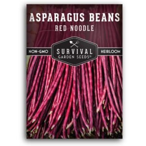 Red Noodle Asparagus Bean Seeds – Long, Stringless Chinese Yardlong Beans for Warm-Season Gardens