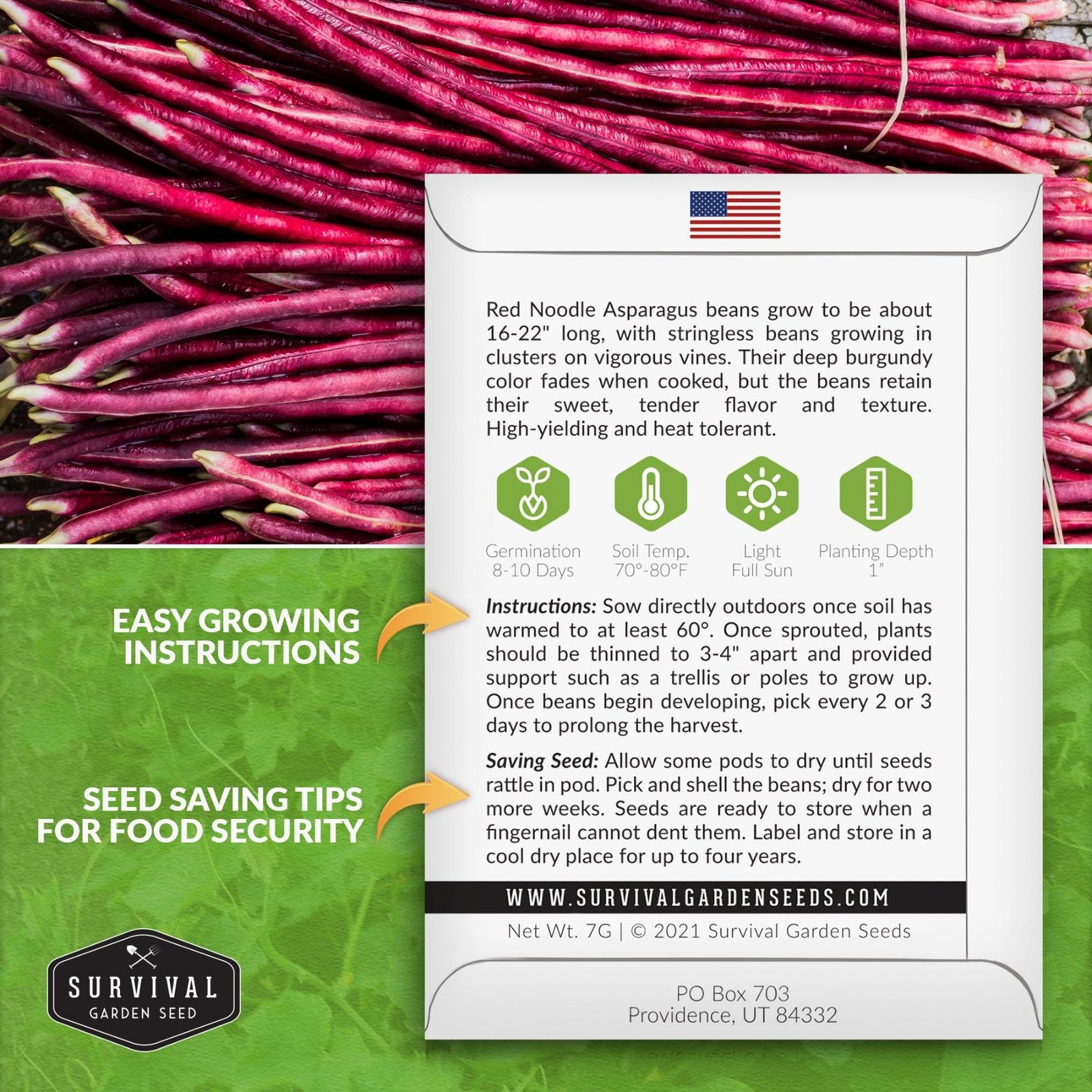 Beans-Asparagus-02.jpg