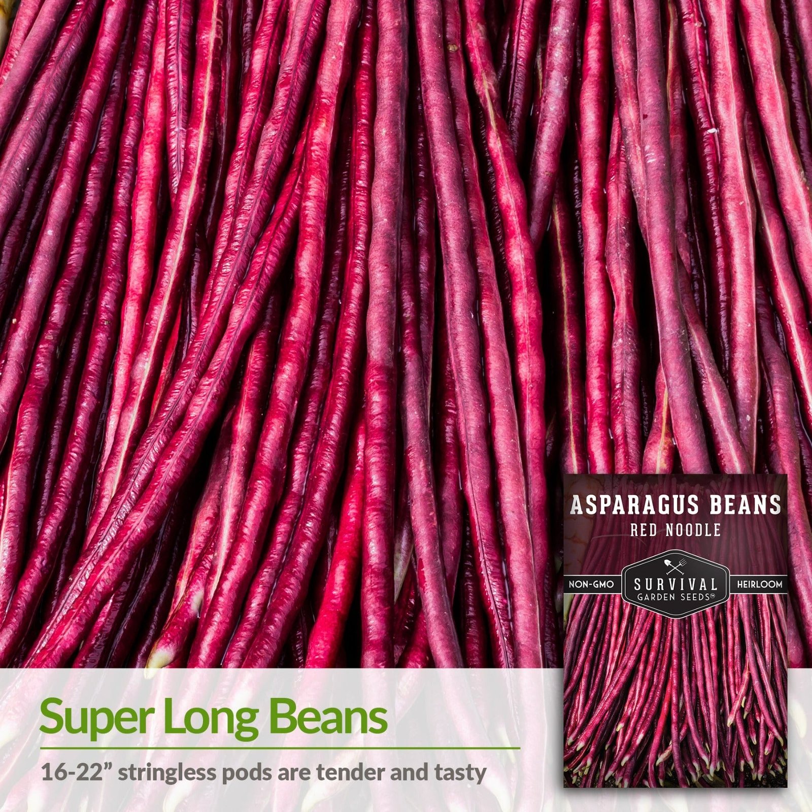 Beans-Asparagus-03.jpg