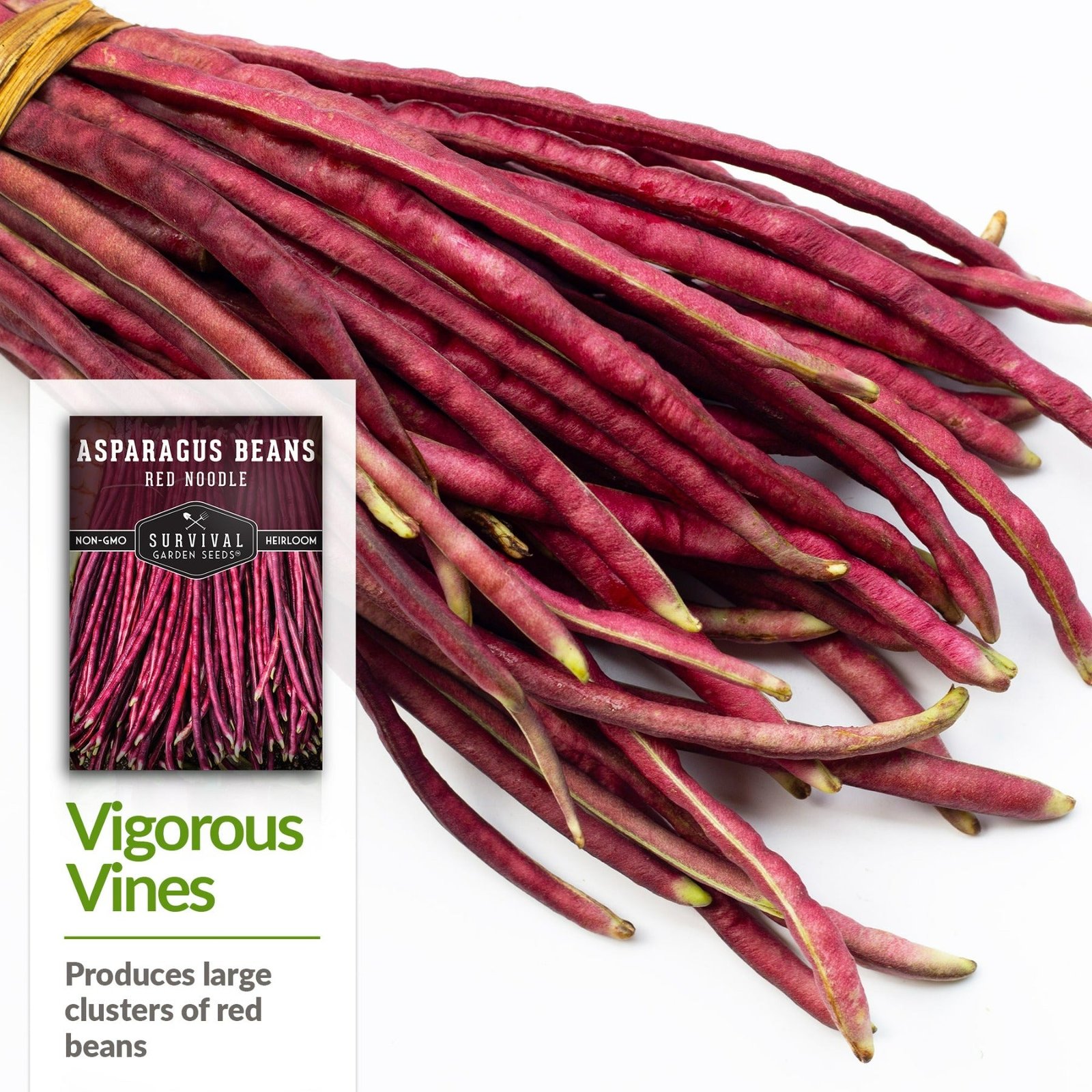 Beans-Asparagus-04.jpg
