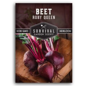 Ruby Queen Beet Seeds – Award-Winning AAS Variety for Sweet, Tender Roots and Nutritious Greens