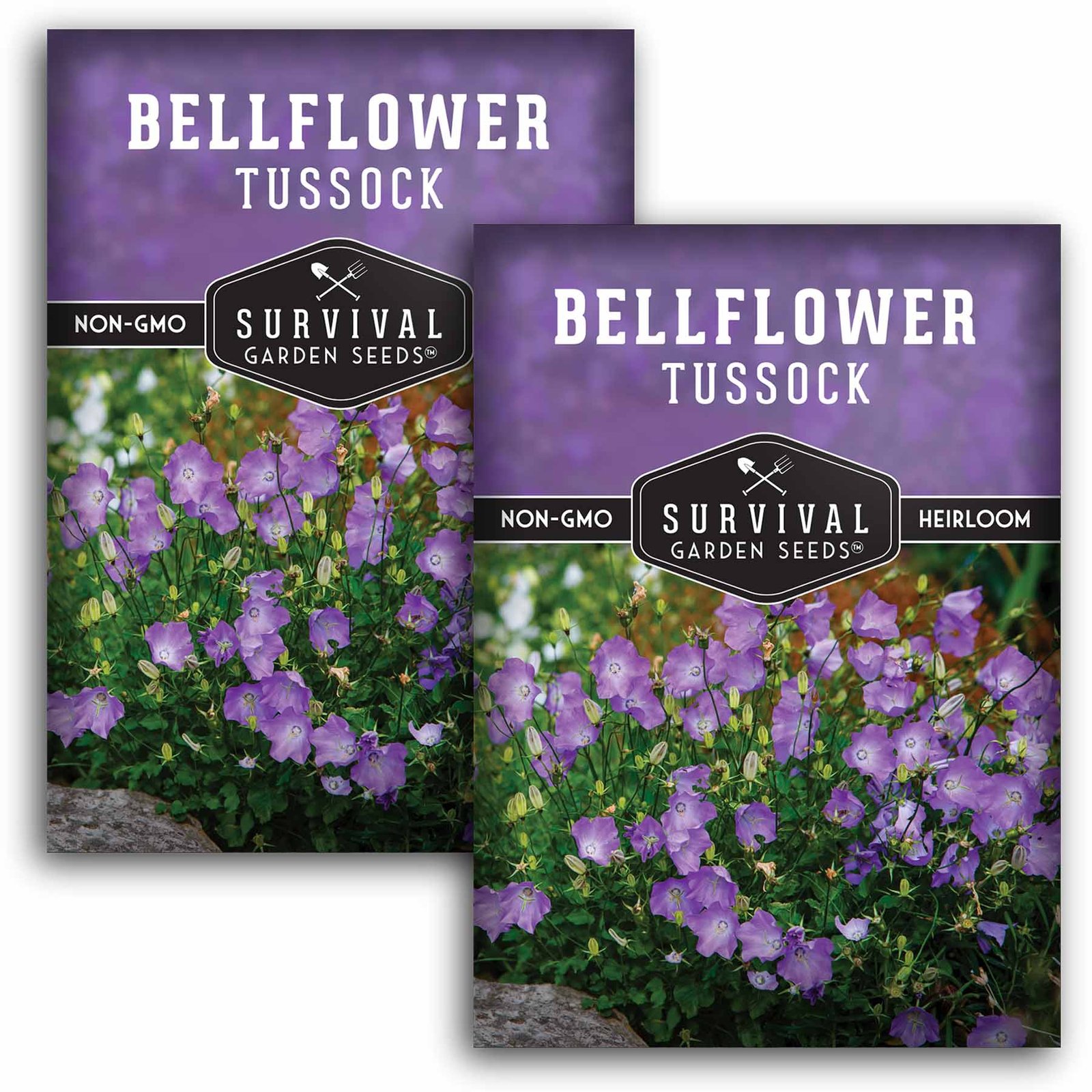 Bellflower-Tussock-01.2.jpg