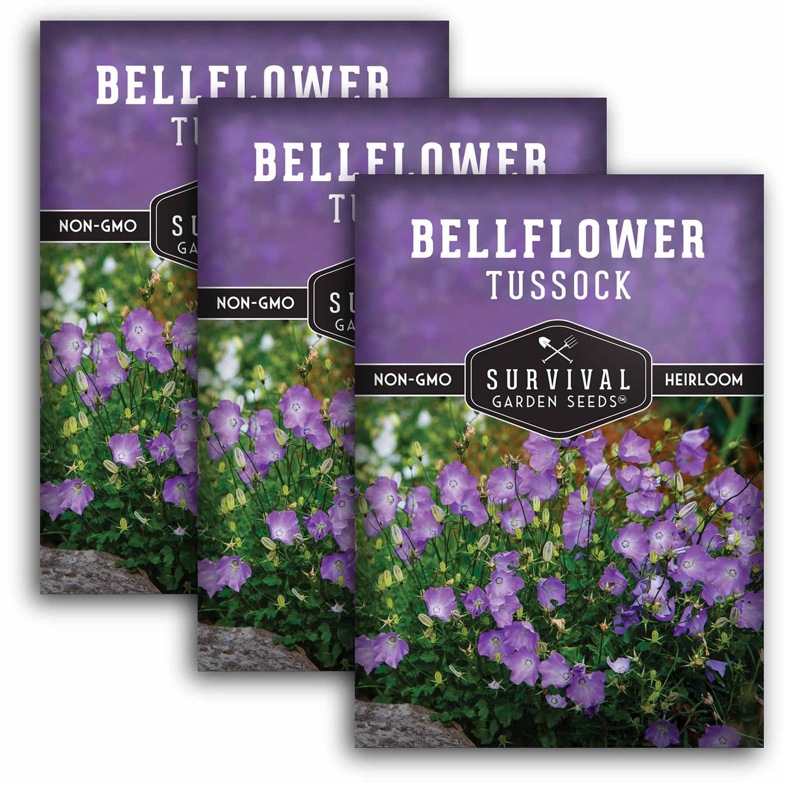 Bellflower-Tussock-01.3.jpg