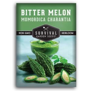Bitter Melon Seeds (Momordica charantia) – Heirloom Tropical Bitter Gourd for Warm-Season Gardens
