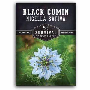 Black Cumin Seeds (Nigella sativa) – Culinary & Medicinal Annual Herb with Blue Flowers, Drought-Tolerant