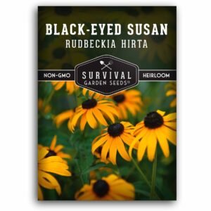 Black Eyed Susan Seeds – Native Wildflower for Pollinators, Drought-Tolerant & Deer Resistant