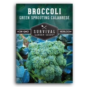 Green Sprouting Calabrese Broccoli Seeds – Italian Heirloom, Open-Pollinated Variety for Continuous Harvests