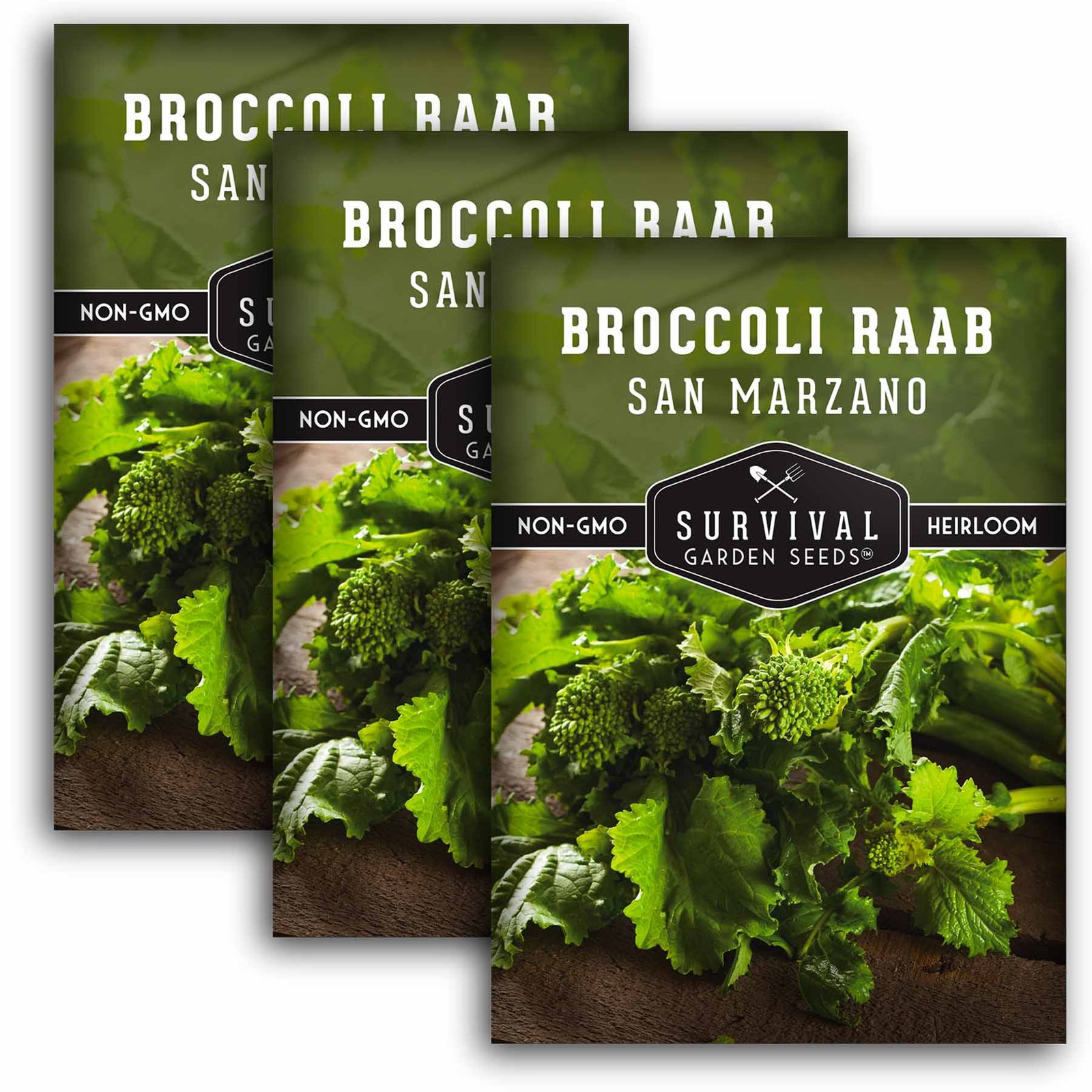 Broccoli-Raab-01.3.jpg
