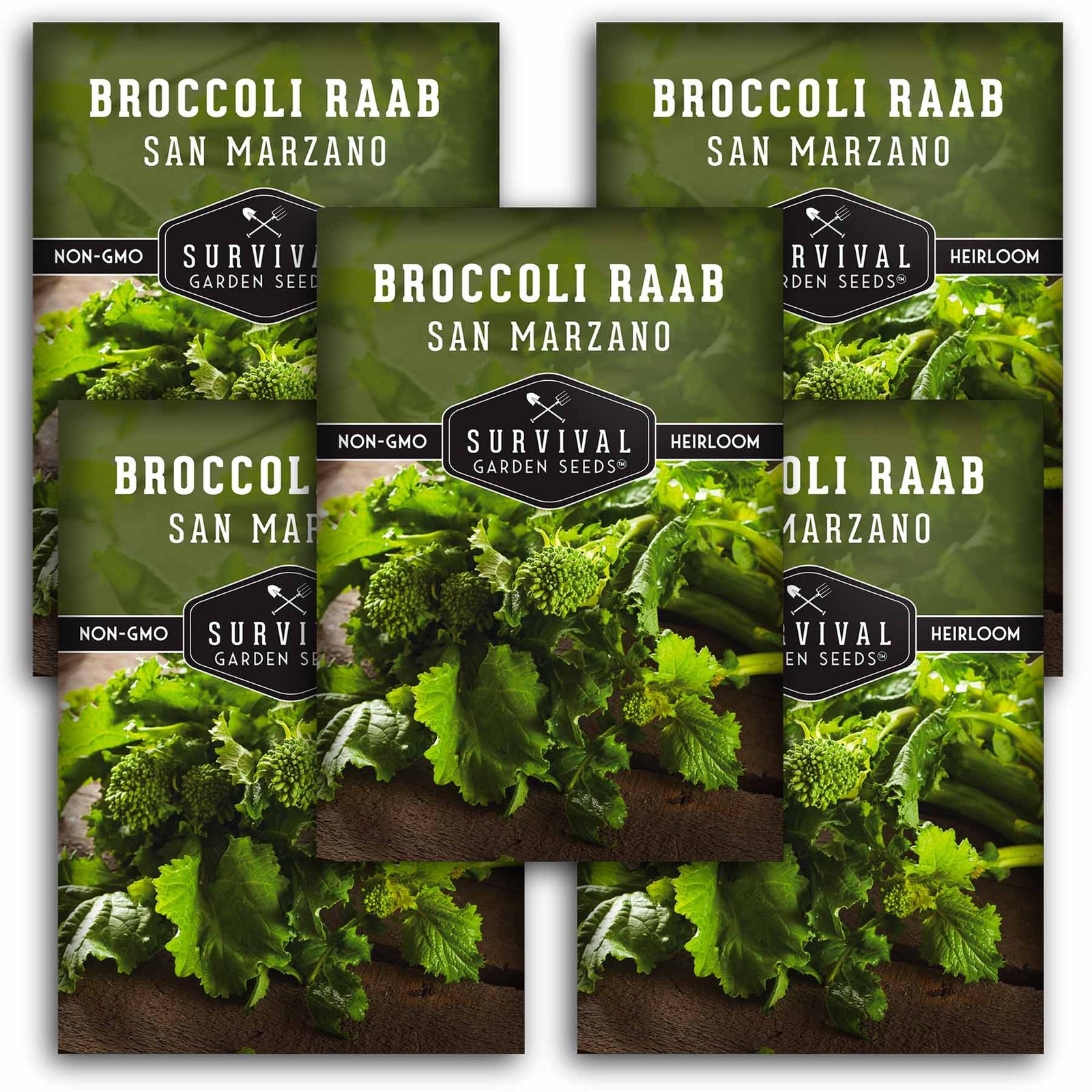 Broccoli-Raab-01.5.jpg