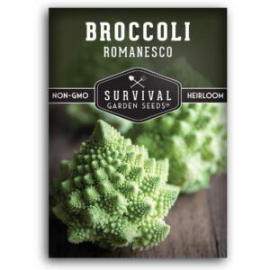 Romanesco Broccoli Seeds – Italian Heirloom Broccoflower with Fractal Heads for Cool-Season Gardens
