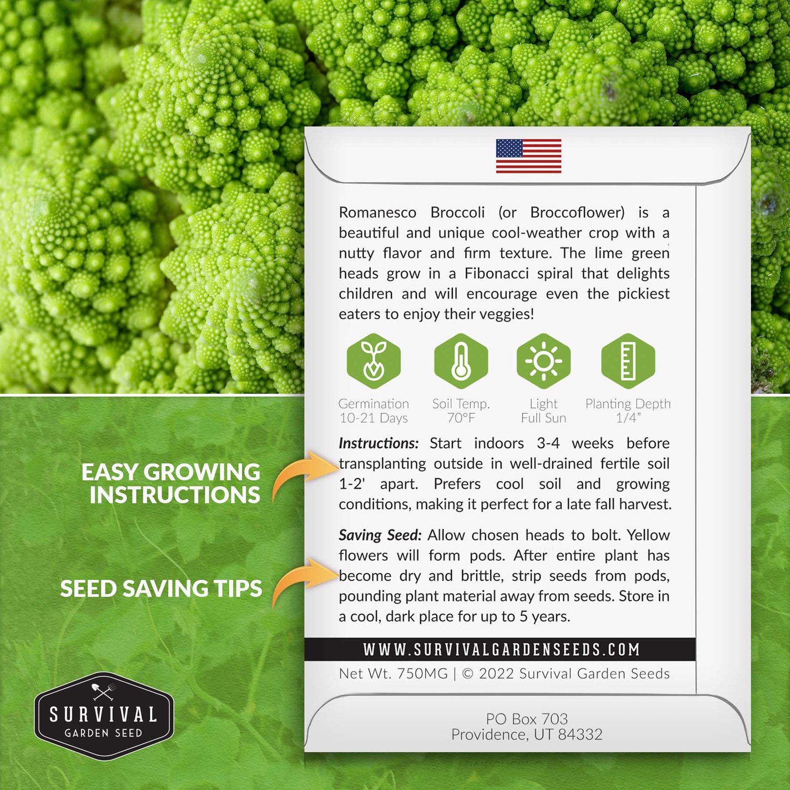 Broccoli-Romanesco-02.jpg