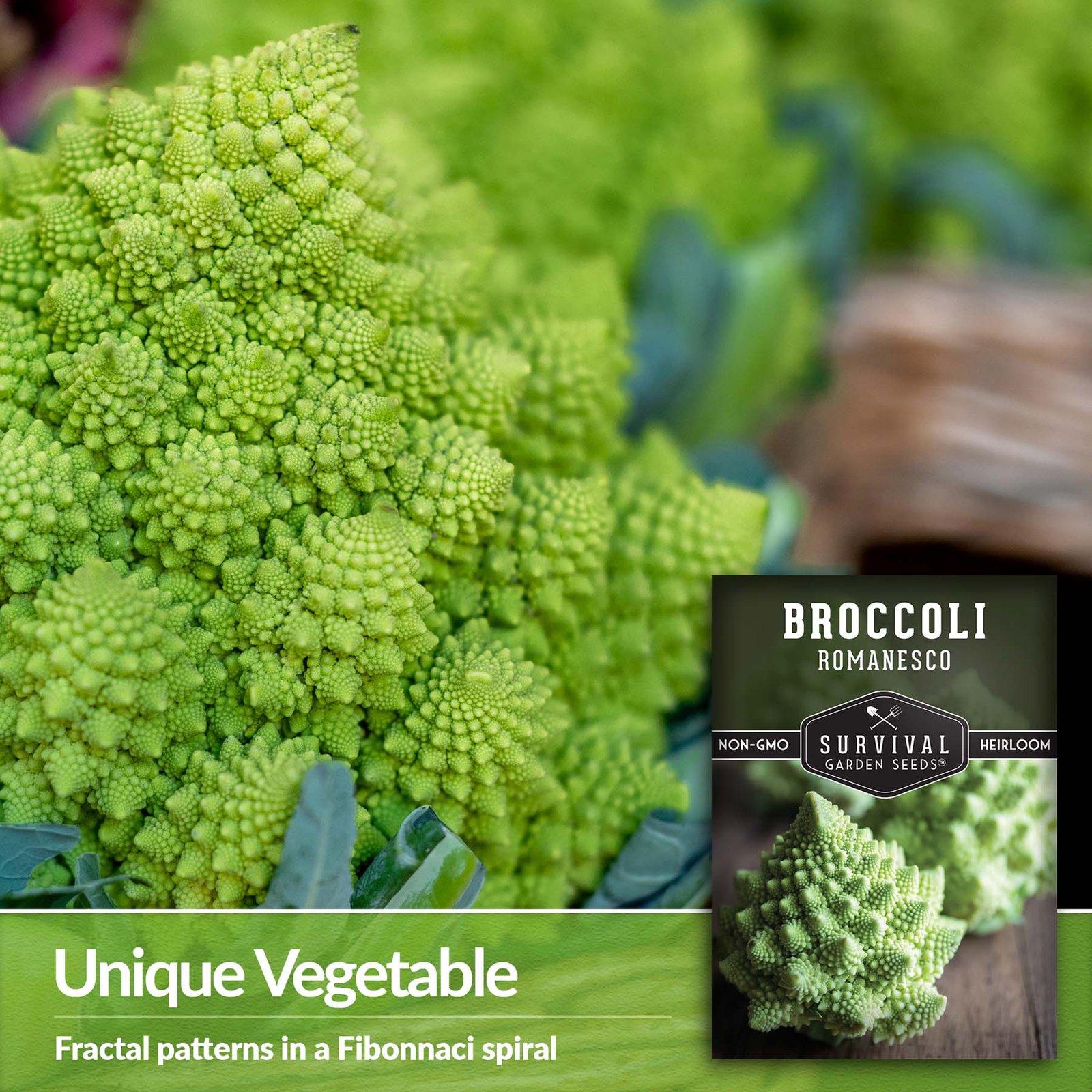 Broccoli-Romanesco-03.jpg