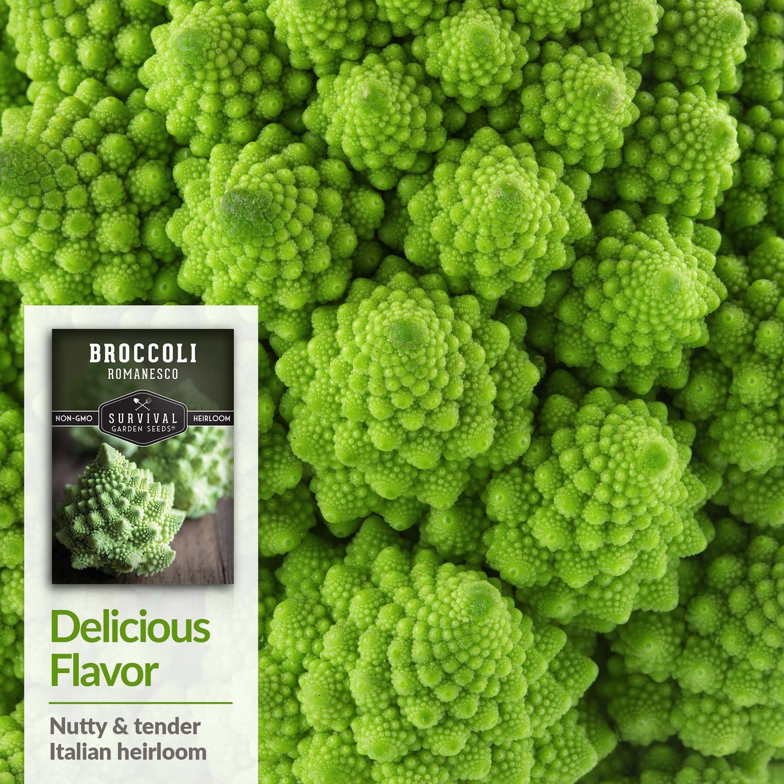 Broccoli-Romanesco-04.jpg
