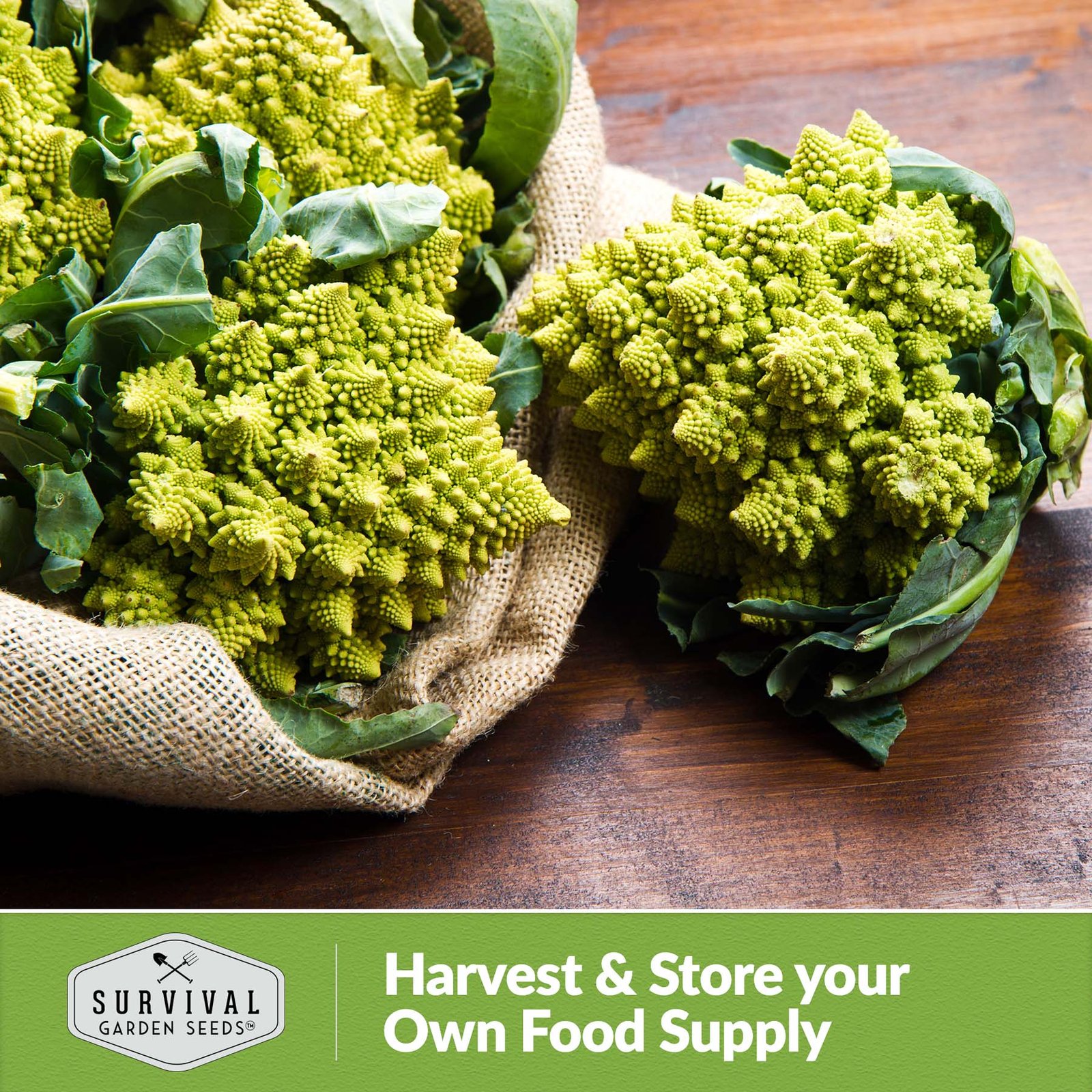 Broccoli-Romanesco-06.jpg