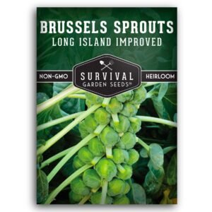 Long Island Improved Brussels Sprouts Seeds – Compact Heirloom with Sweet, Cold-Hardy Sprouts for Fall & Spring Gardens