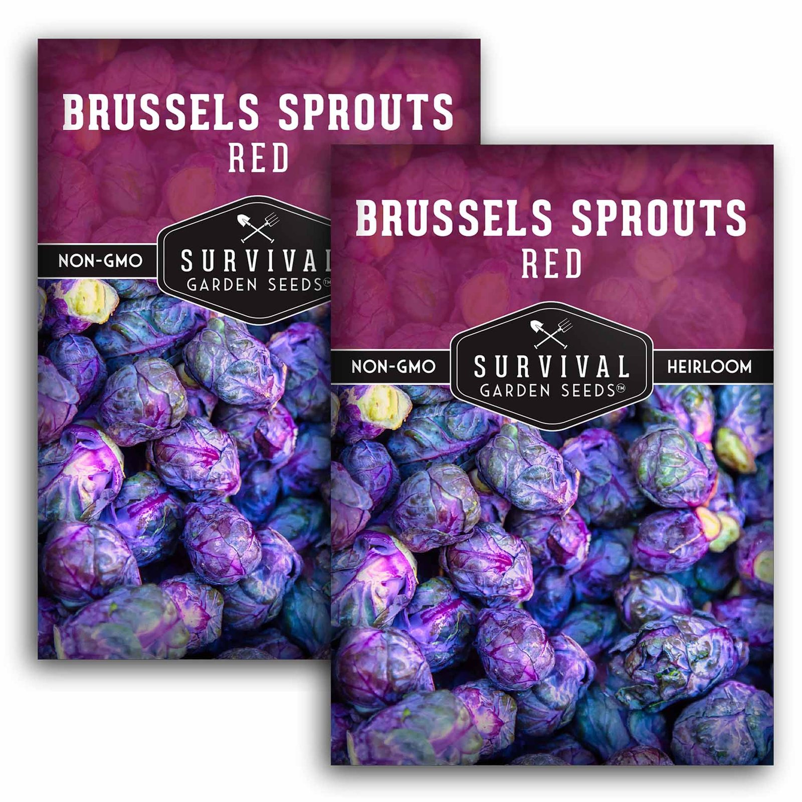 BrusselsSproutsRed-01.2.jpg