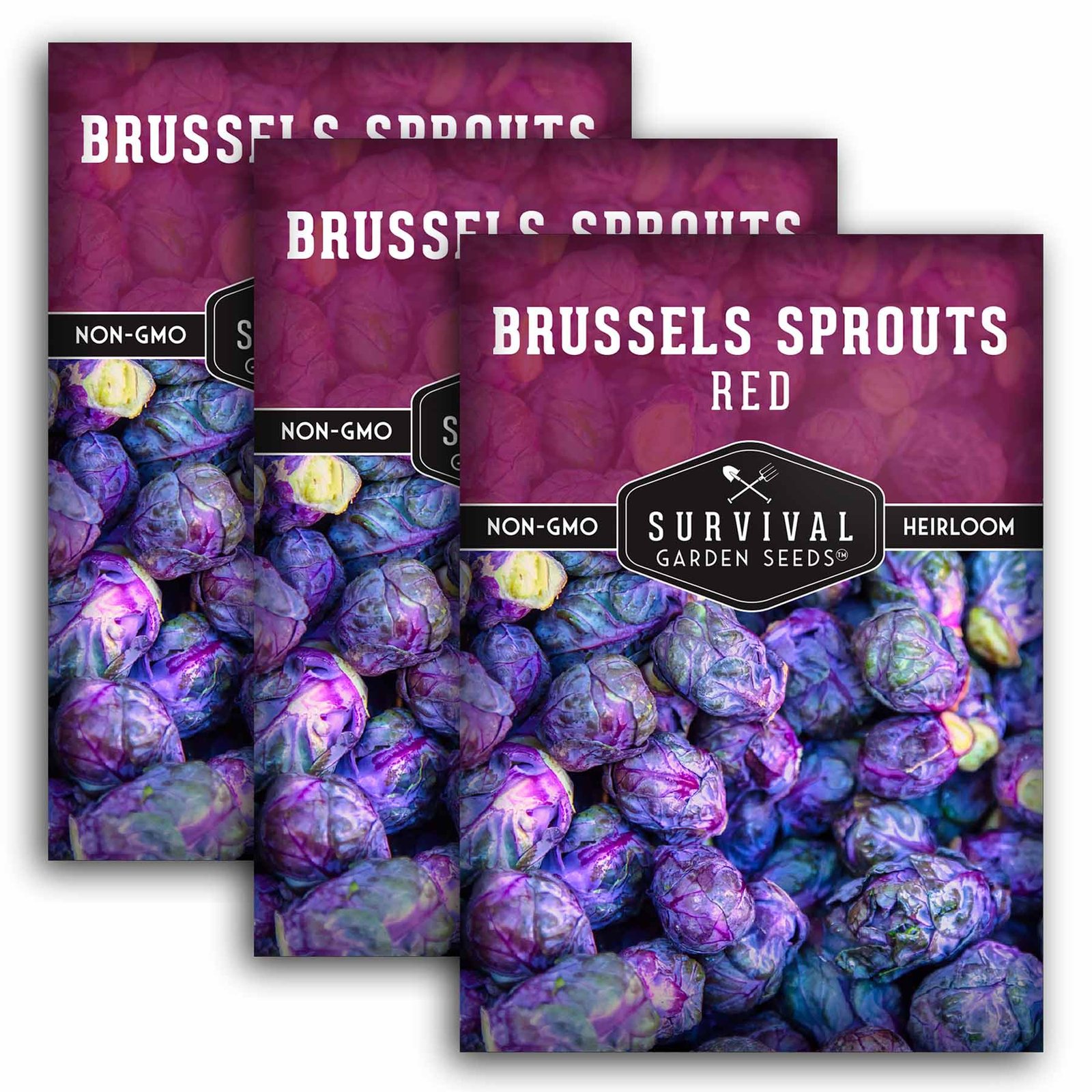 BrusselsSproutsRed-01.3.jpg