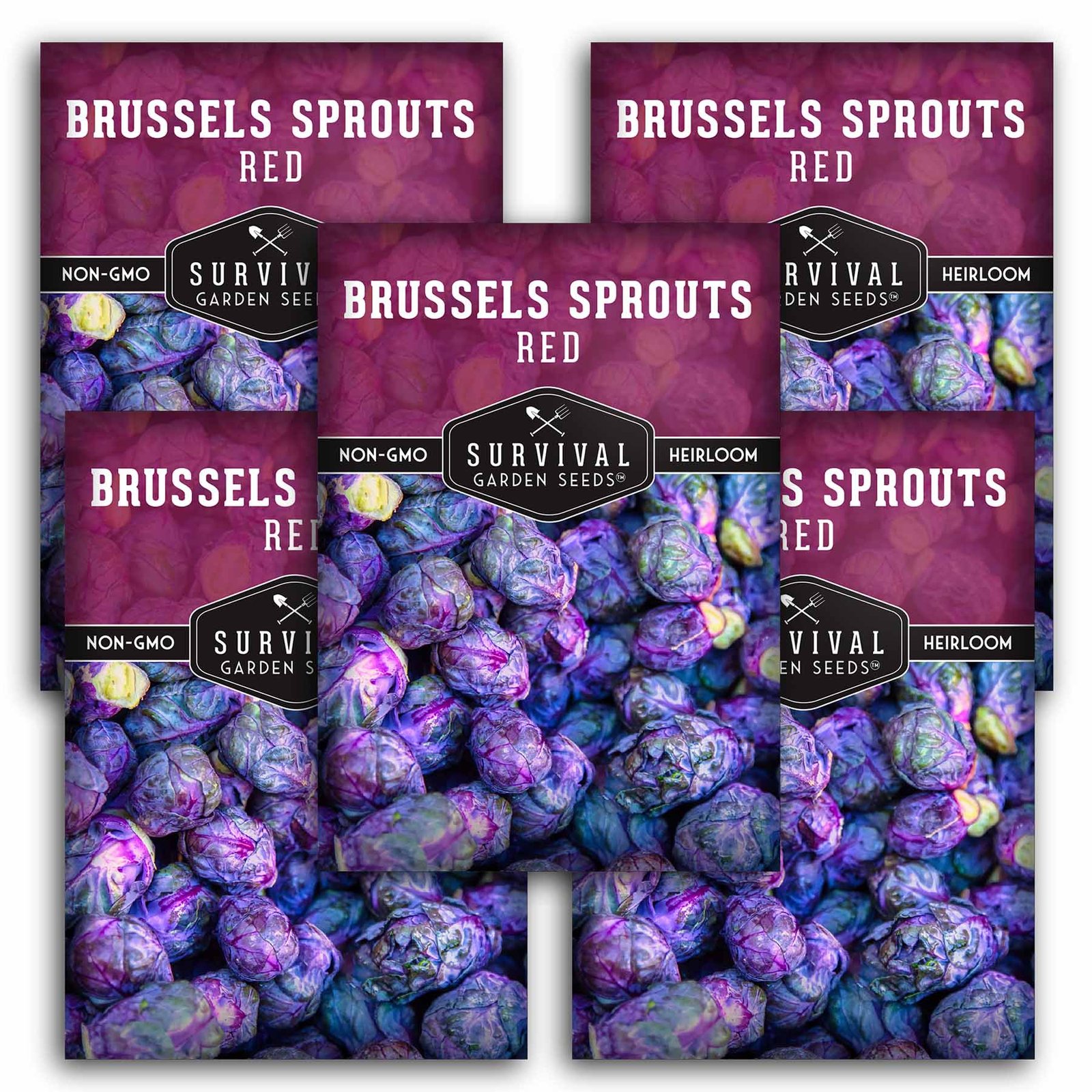 BrusselsSproutsRed-01.5.jpg