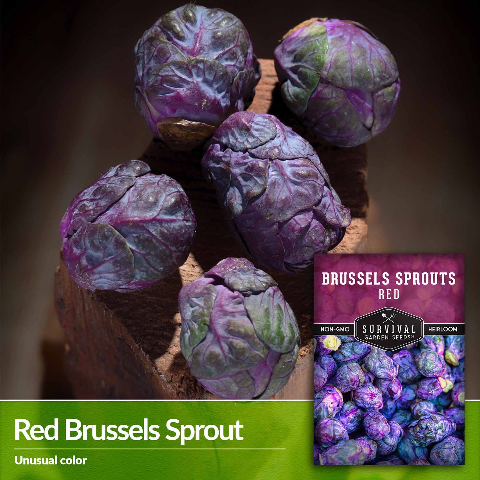 BrusselsSproutsRed-03.jpg