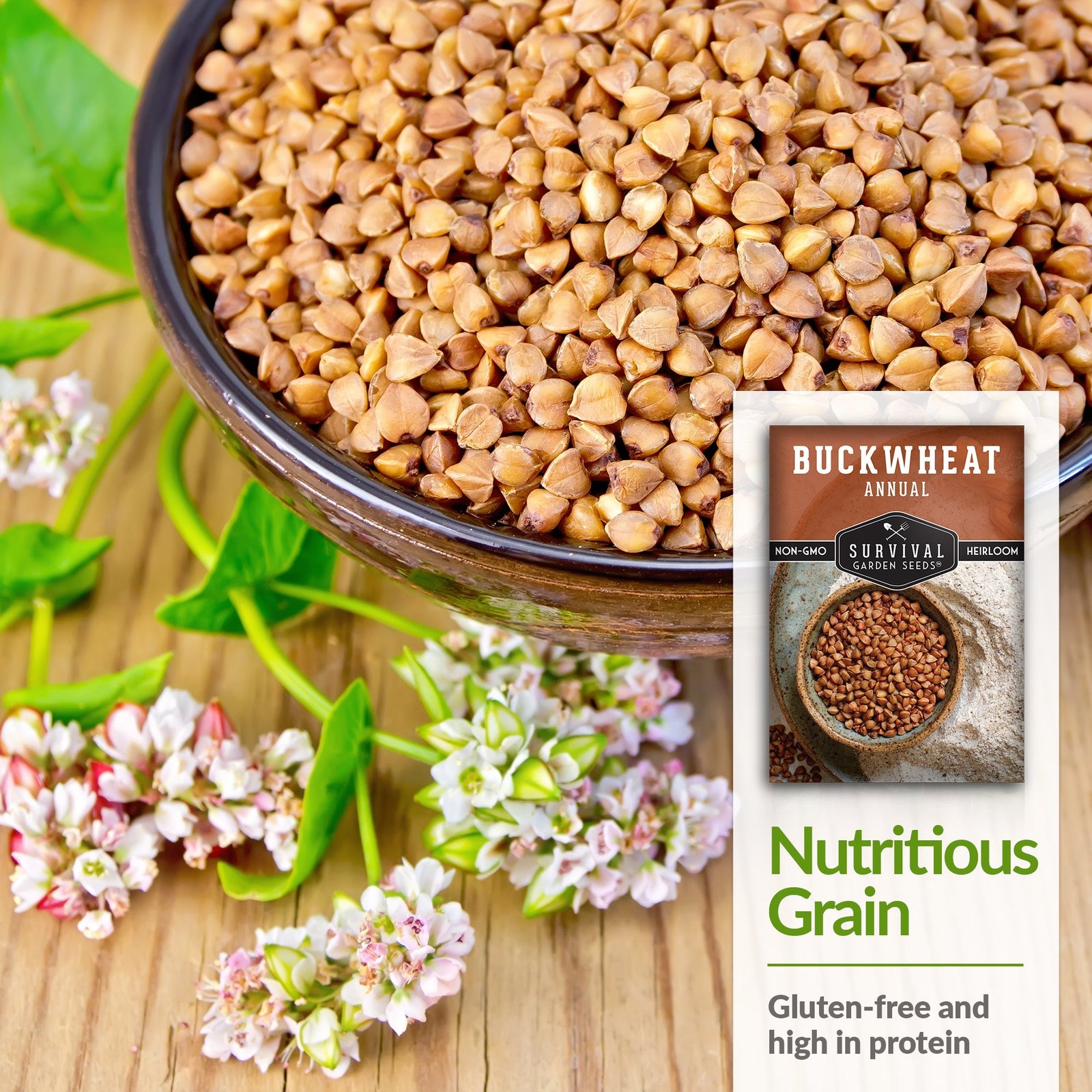 Buckwheat-04.jpg
