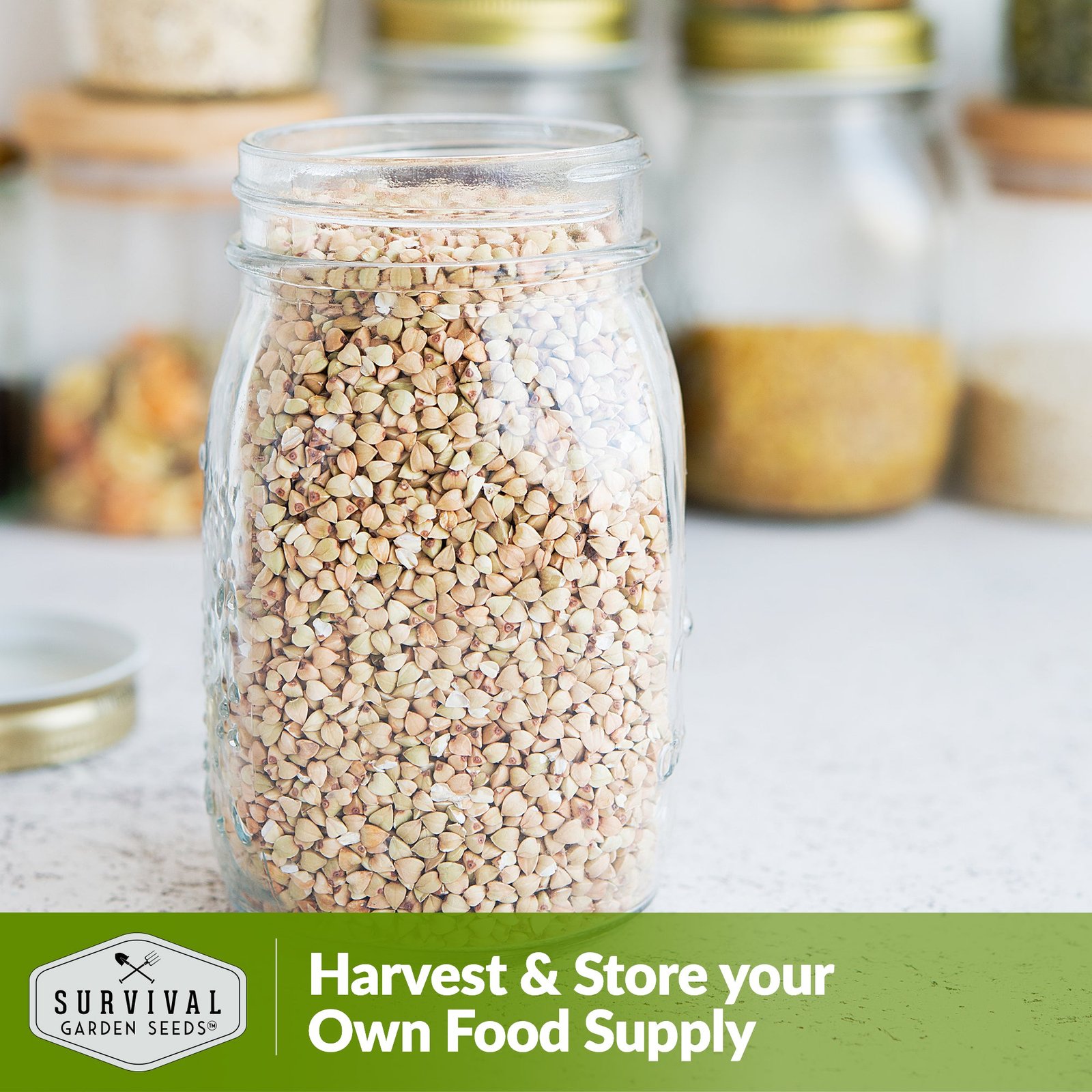 Buckwheat-06.jpg