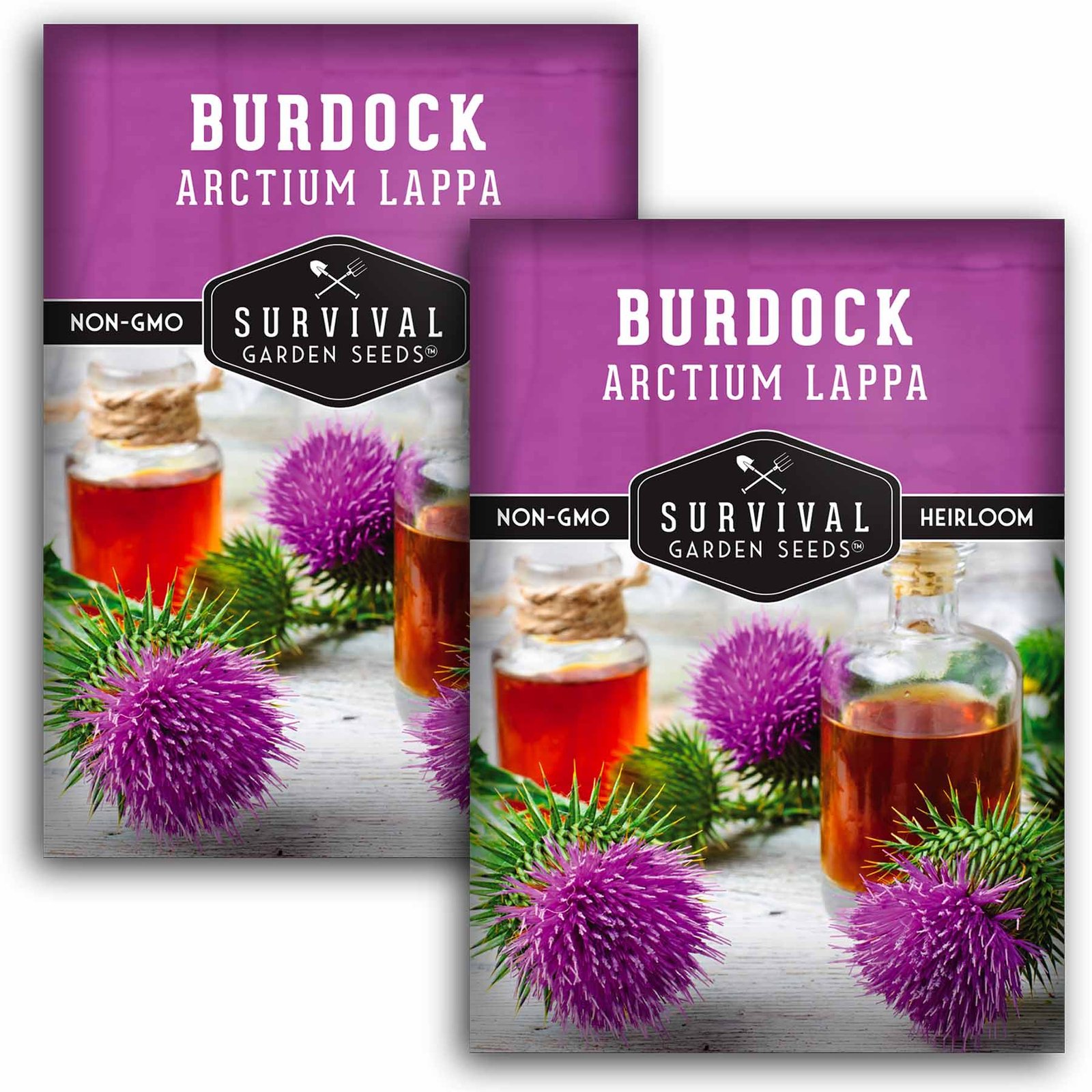 Burdock-01.2.jpg