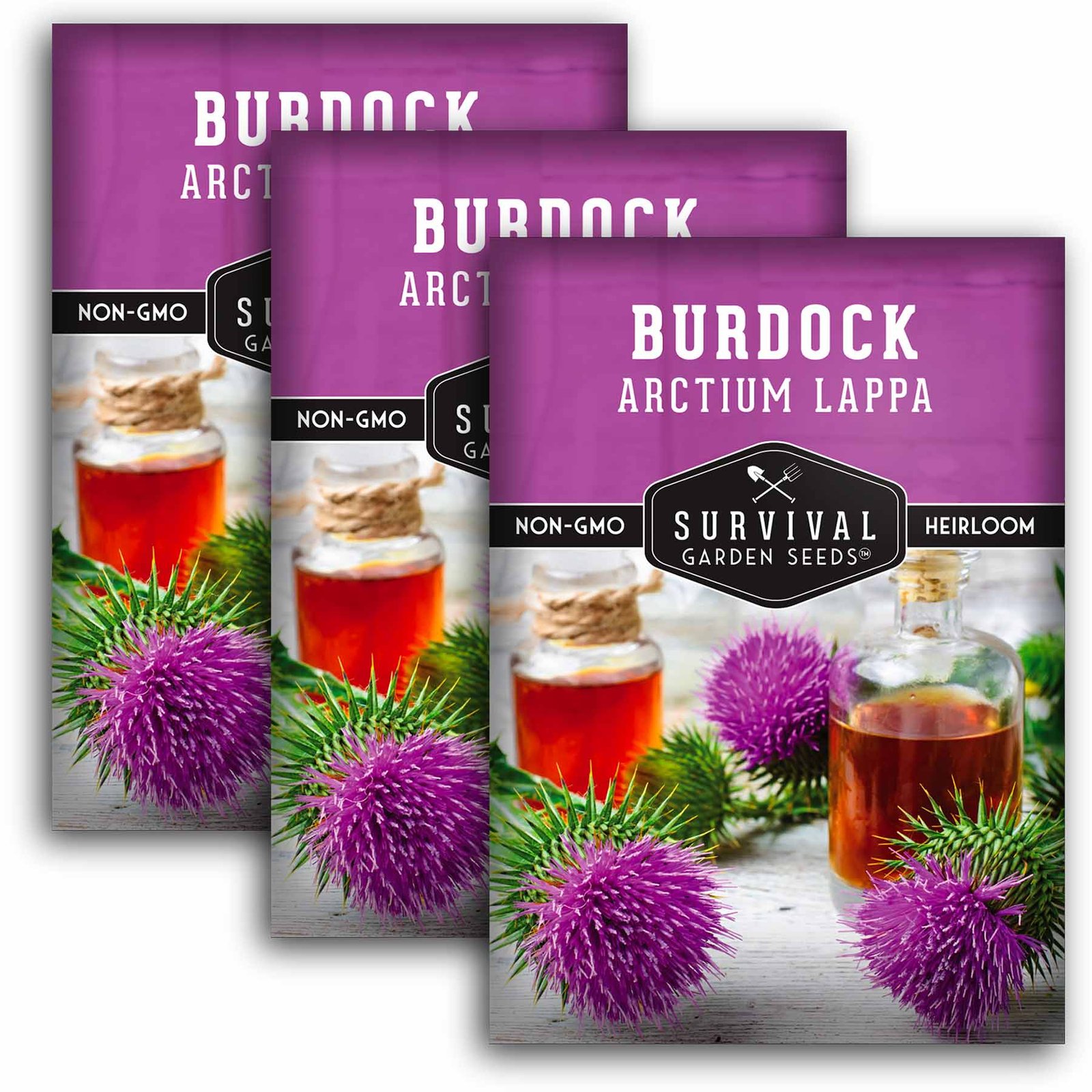 Burdock-01.3.jpg