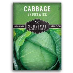 Brunswick Cabbage Seeds – Heirloom Non-GMO, Cold-Hardy Green Cabbage for Fall and Winter Gardens