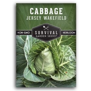 Jersey Wakefield Cabbage Seeds – Heirloom Non-GMO, Early-Maturing Pointed Cabbage for Compact Gardens