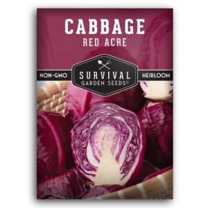 Red Acre Cabbage Seeds – Heirloom Non-GMO Purple Cabbage, Compact & Cold-Hardy Variety for Spring and Fall Gardens