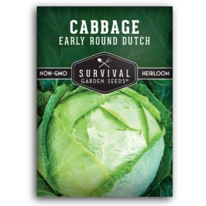 Early Round Dutch Cabbage Seeds – Heirloom Non-GMO, Cold-Hardy Green Cabbage for Spring and Fall Gardens