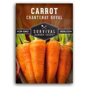 Chantenay Royal Carrot Seeds – Stocky, Heirloom Roots for Heavy Soils and Long-Term Storage