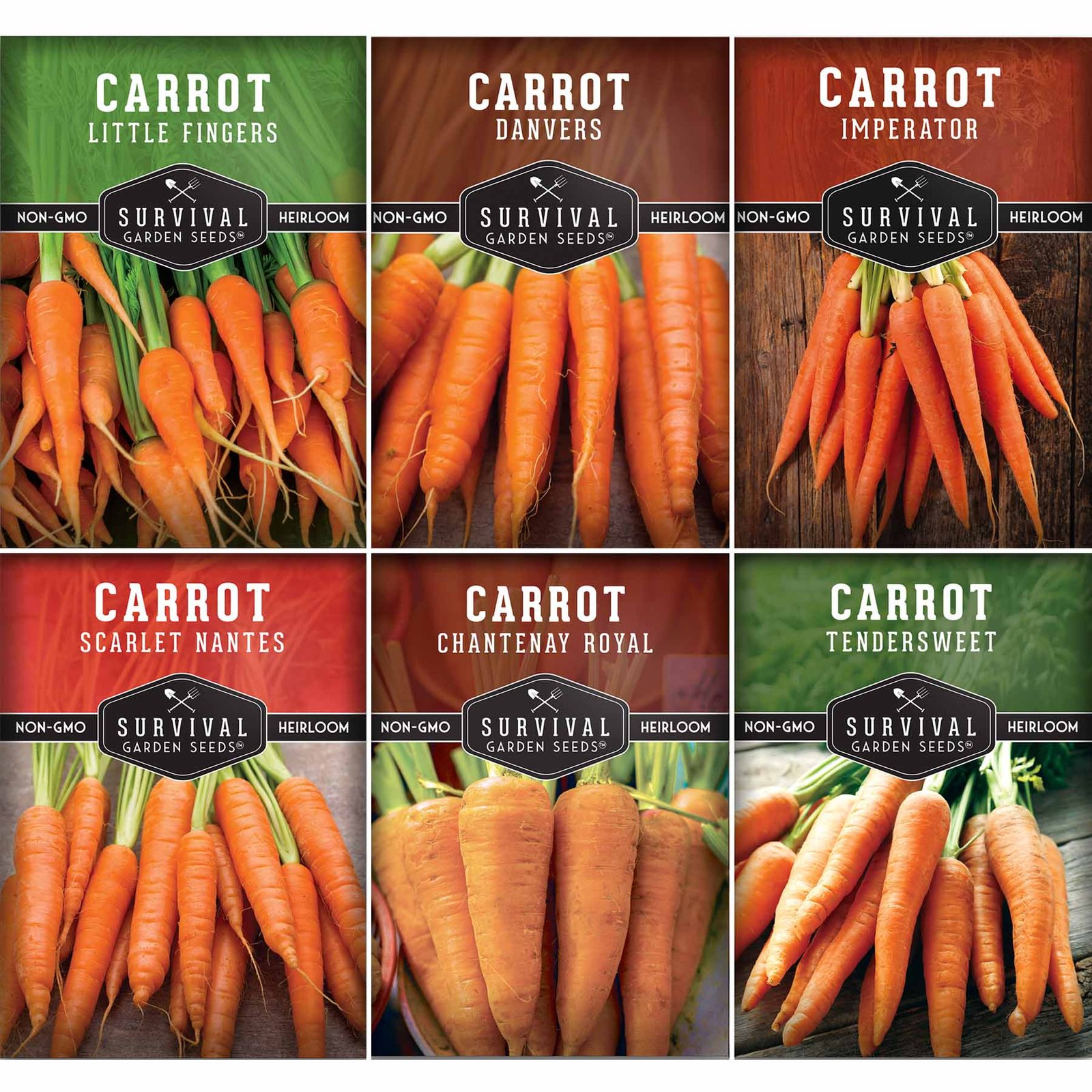 Carrot-Collection-01.1.jpg