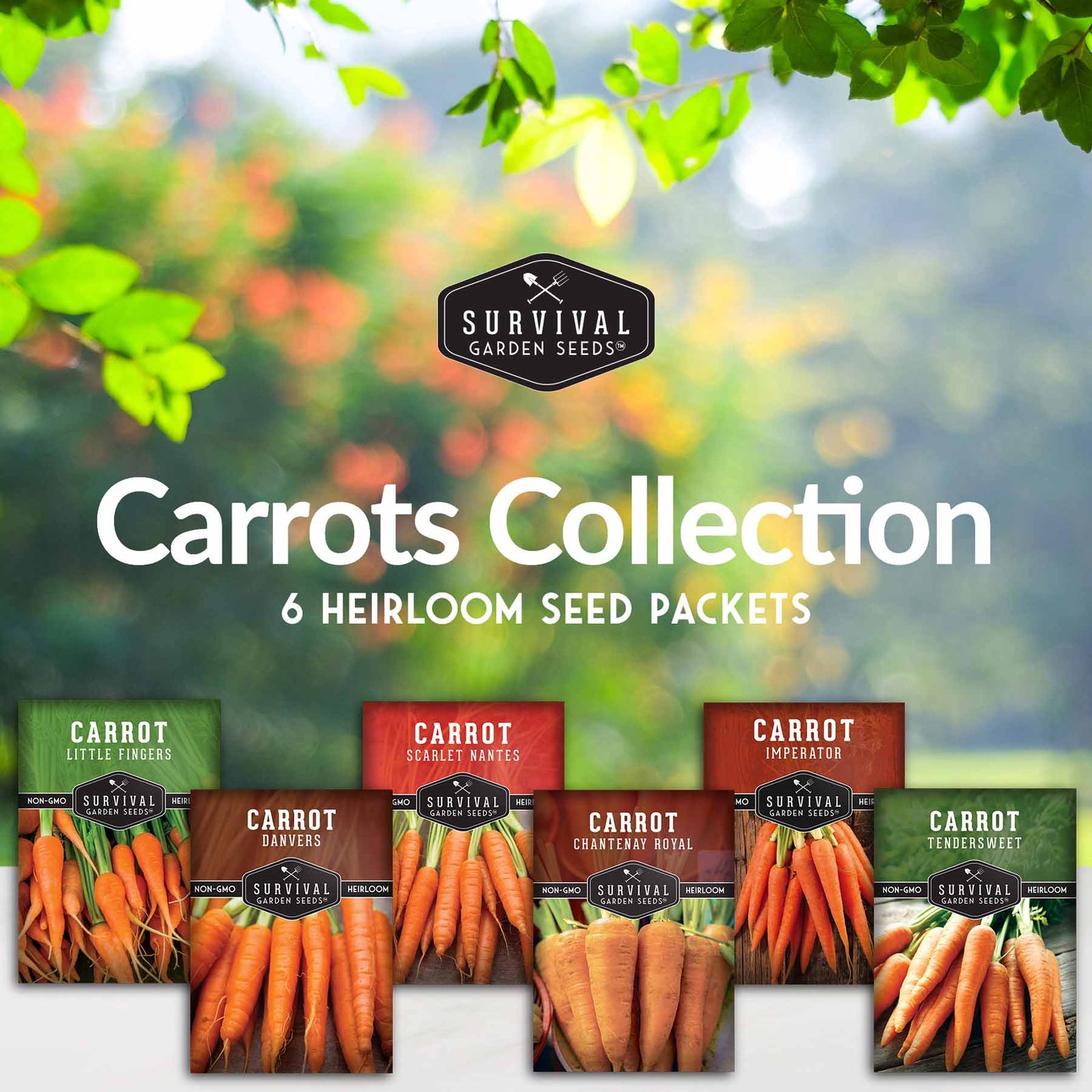 Carrot-Collection-02.jpg