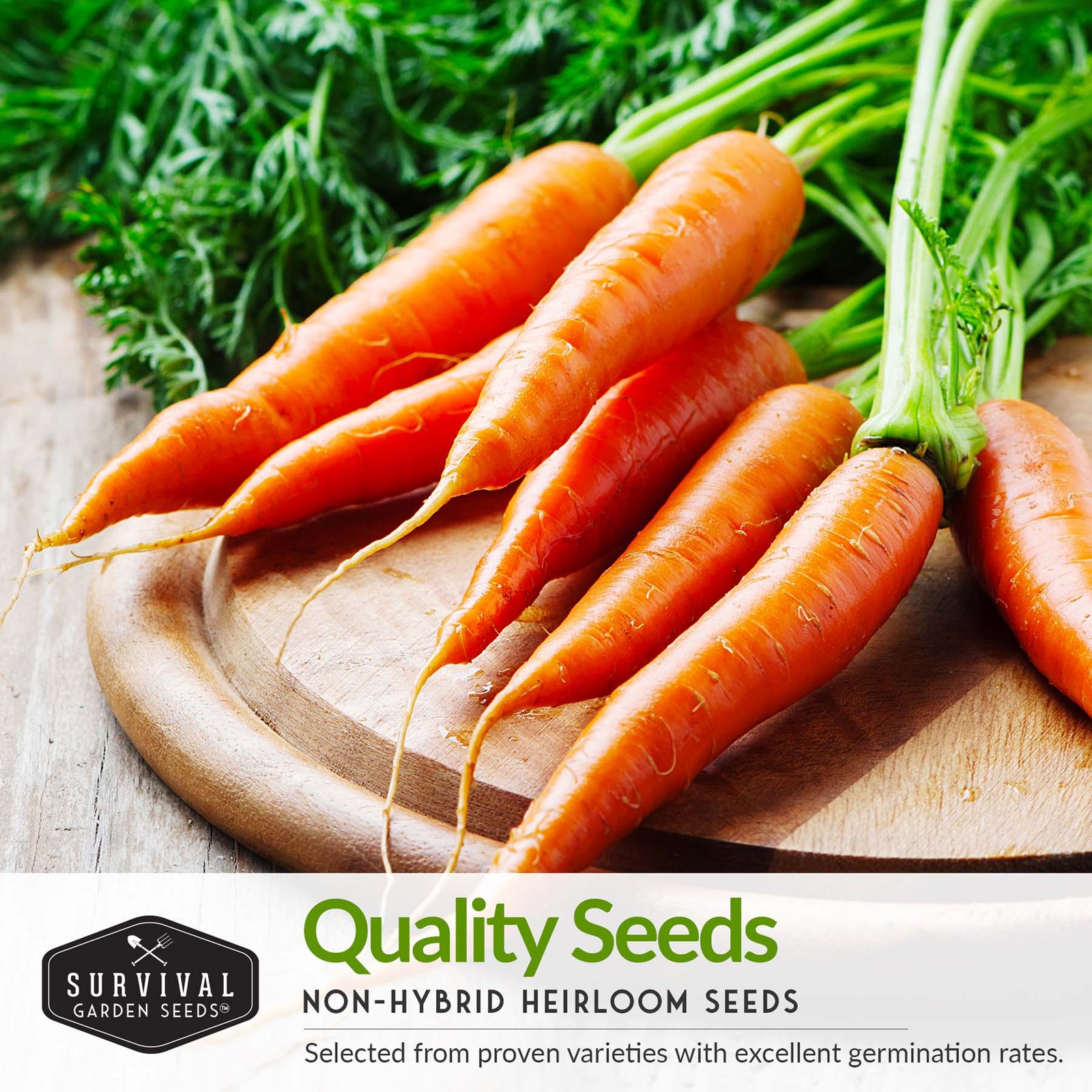 Carrot-Collection-03.jpg