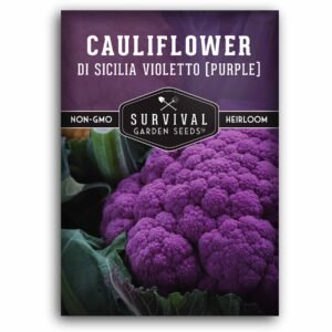 Di Sicilia Violetto Purple Cauliflower Seeds – Rare Italian Heirloom with Vibrant Purple Curds, Nutty Flavor & High Nutrients
