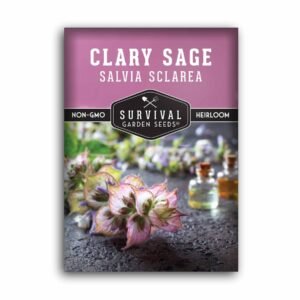 Clary Sage Seeds – Aromatic Medicinal Herb for Pollinators, Tea & Essential Oil Gardens